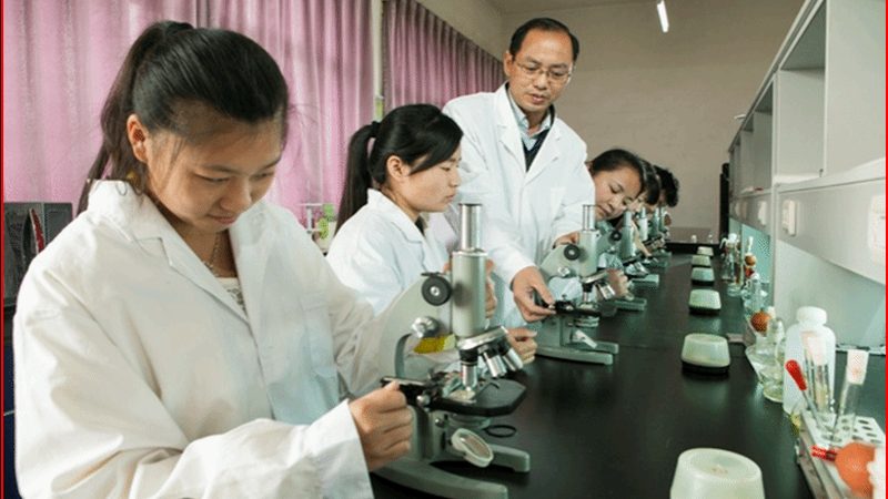 胶囊填充机用空心胶囊与软胶囊：本质区别与适用场景**