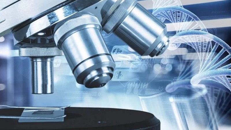 空心胶囊0号0.5g：揭秘其应用与选择要点