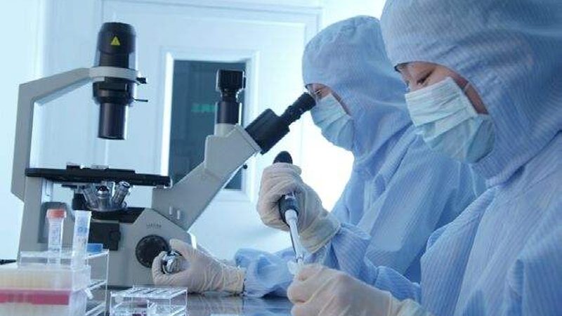 医药数字化升级系统：揭秘其型号背后的技术奥秘