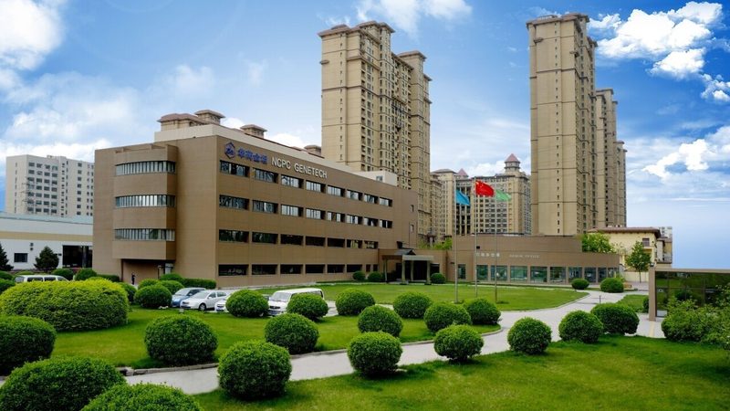 空心胶囊定制：制药行业的“隐形”细节解析